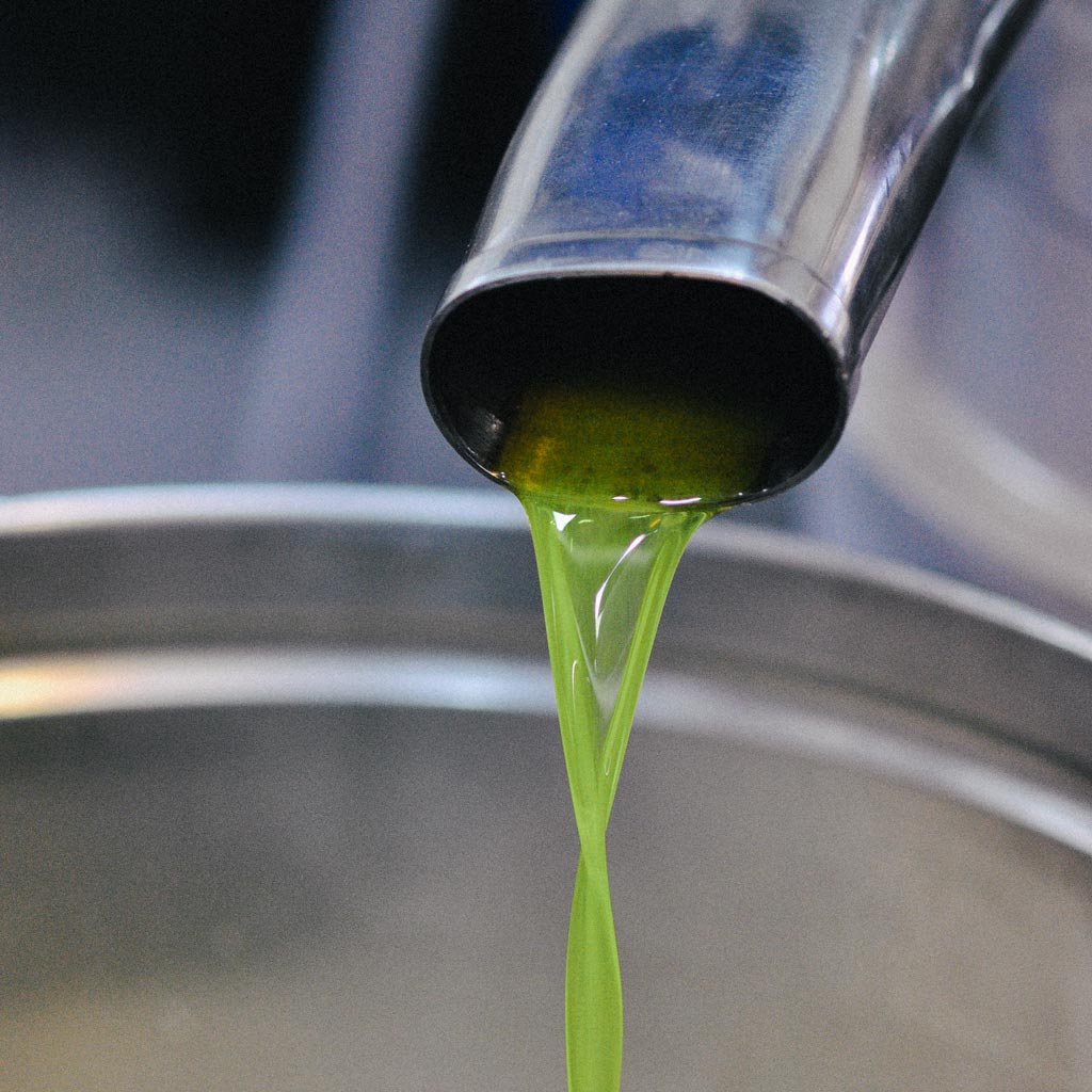 <h2>Olive Oil Mill</h2>