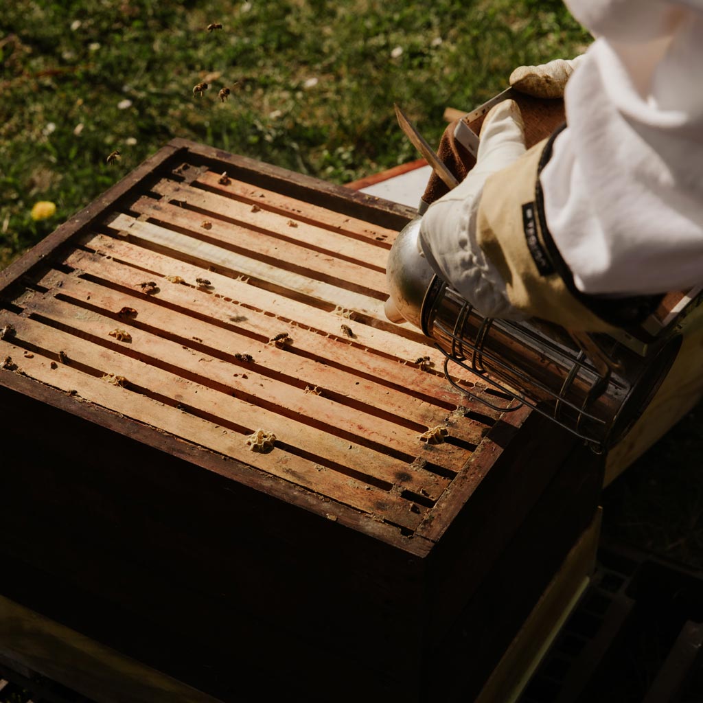 Beekeeper and beehive
